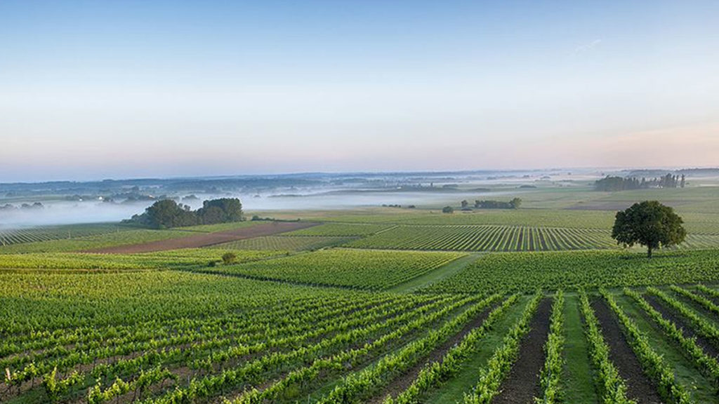 Château Roquefort Bordeaux Entre Deux Mers