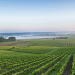 Château Roquefort Bordeaux Entre Deux Mers