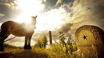 Les champagnes Philipponnat : des vins avant d’être des bulles