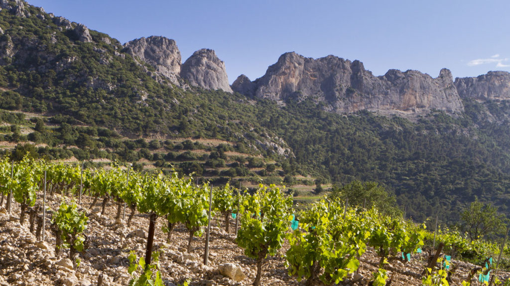 Domaine Brusset, Gigondas, Les Hauts de Montmirail