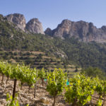 Domaine Brusset, Gigondas, Les Hauts de Montmirail