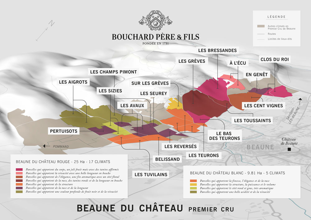 Beaune du Château premier cru : les parcelles