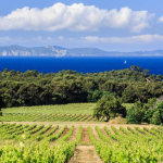Les plus beaux vignobles de France