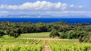 Les plus beaux vignobles de France