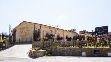 Vignerons à Bandol depuis 1288 : Le Domaine Ray Jane