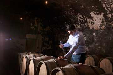 Champagne Palmer & Co, rencontre avec le chef de cave Xavier Berdin