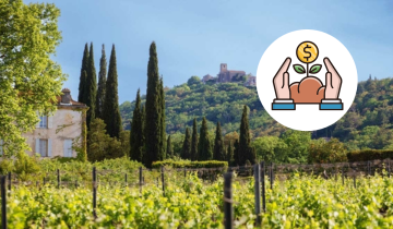 Entre enjeux climatiques et investissements lucratifs, lumière sur le vignoble de Provence