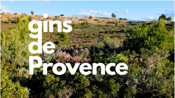 Gins de Provence : la sélection Bottl.