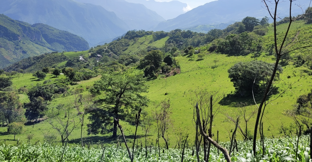 Un paysage de Oaxaca